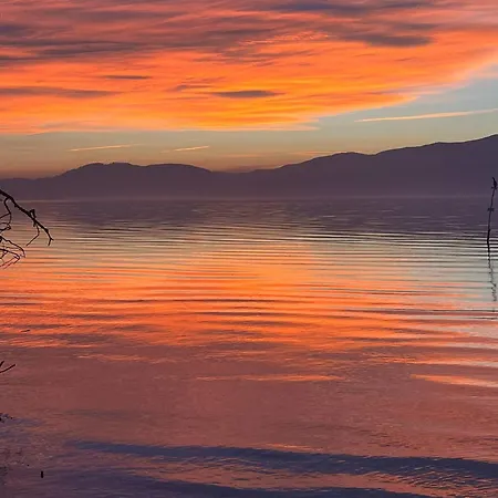 Апарт-отель Greenrose Osmate