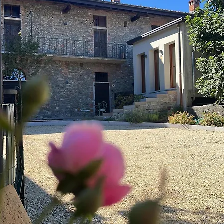 Greenrose Апарт-отель